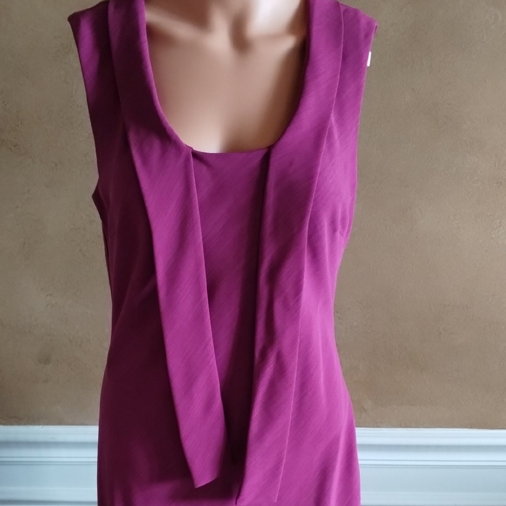 Clifford And Willis Sleeveless Magenta Dress - Picture 5 of 15